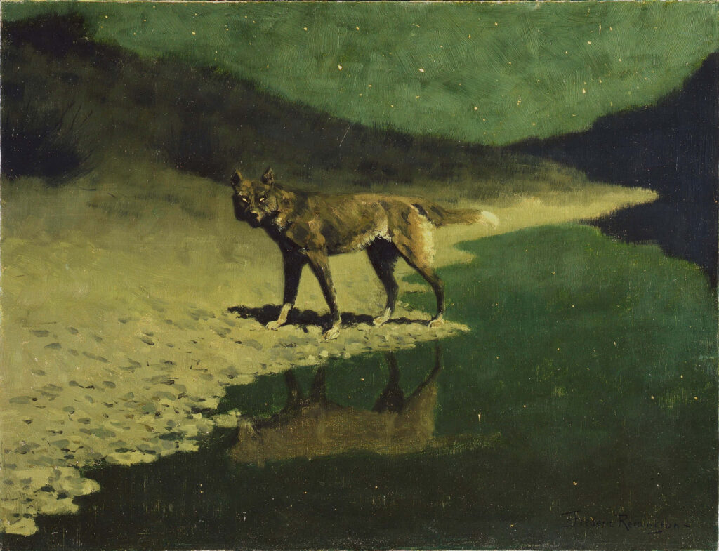 Mystical Wolf by Water Under Moonlight - Enchanting Night Background Wallpaper