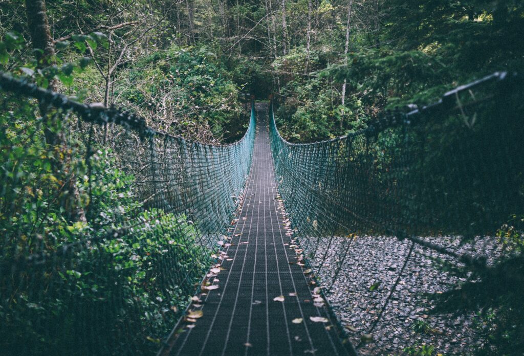 Narrow rope suspension bridge over lush green forest with wooden walkway and fallen leaves Wallpaper