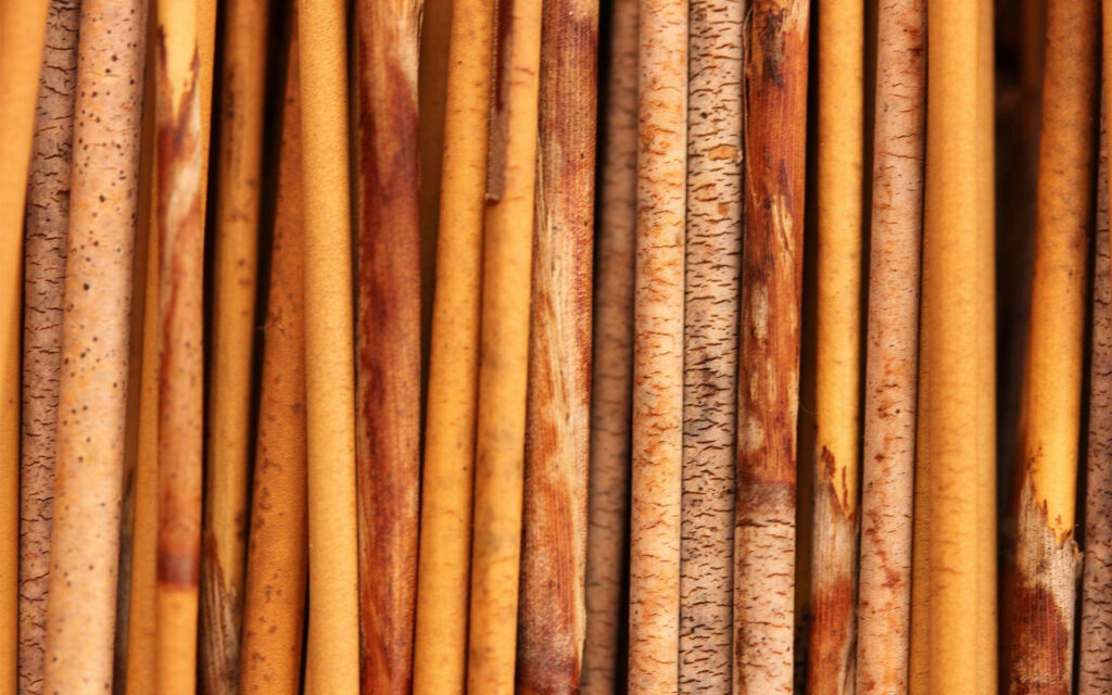Natural Bamboo Wood Wallpaper Background with Earthy Rustic Patterns