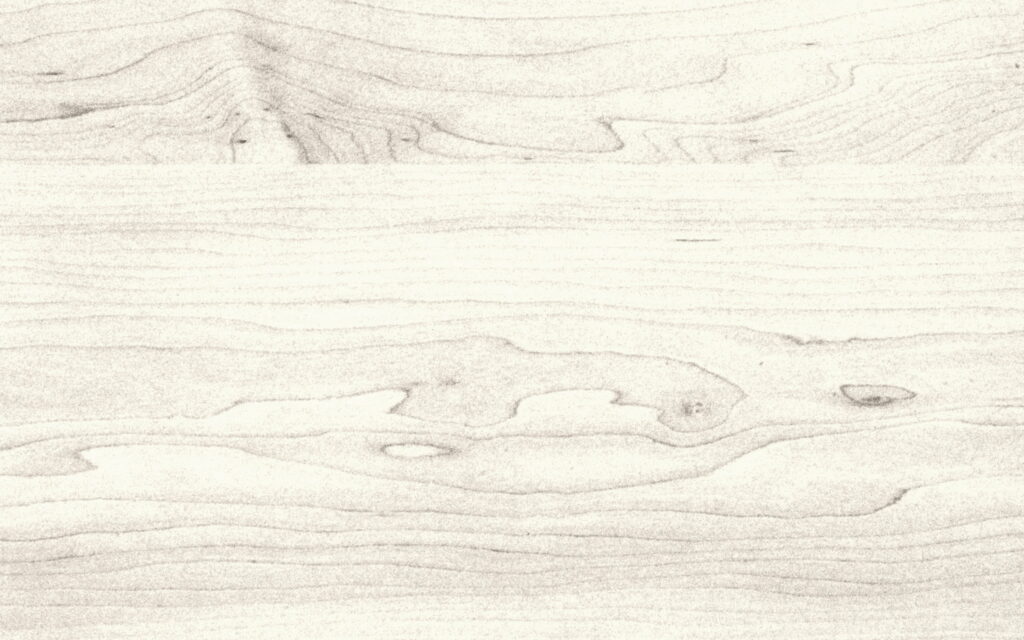 Nature's Grace: Captivating White Wood Textures in QHD Wallpaper