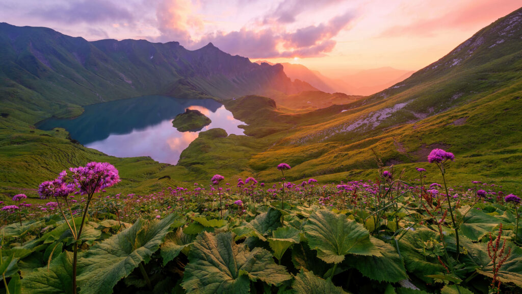 The Majestic Transformation: A Captivating Live 4k Uhd Snapshot of a Former Caldera Transformed into Lush Green Pastures - Exquisite Live 4k Uhd Background Image Wallpaper