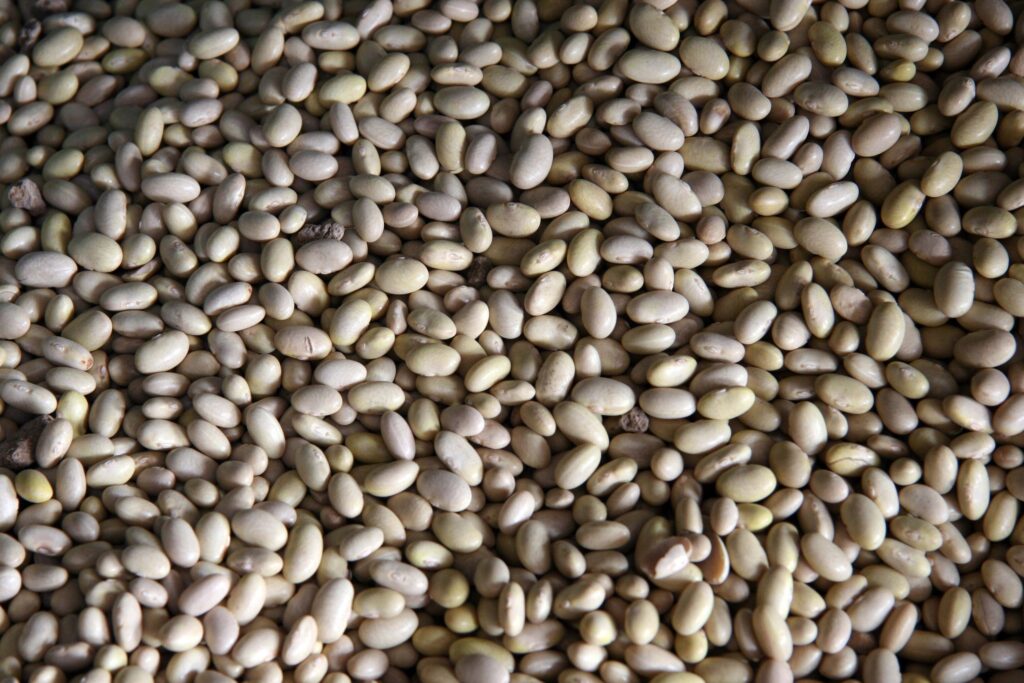 Textured Light-Colored Bean Wallpaper: Natural Earthy Aesthetic Close-Up