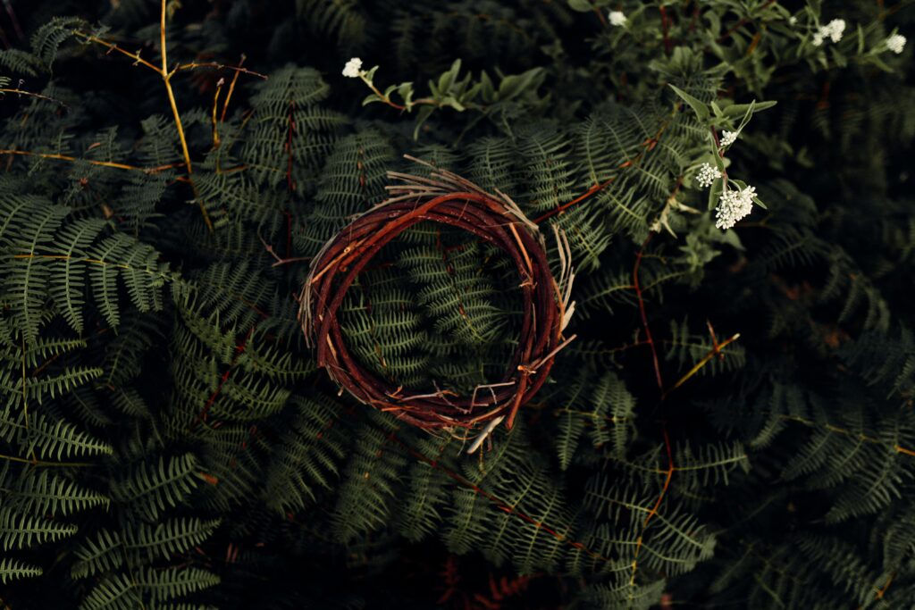 Natural Wreath Wallpaper: Intertwined Branches & Fern Leaves Background