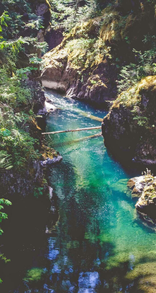 Crystal-clear turquoise river flowing through mossy rocky canyon with sunlit steep walls and fallen log Wallpaper