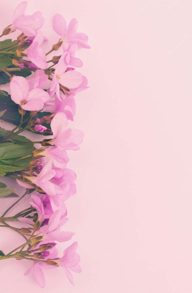 Blending Nature's Beauty with Elegance: Captivating Pink Flower iPhone X Wallpaper