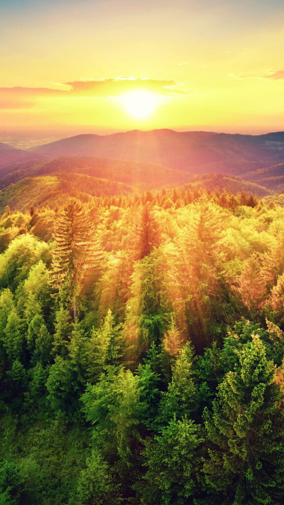 Nature's Golden Embrace: Sunlight Bathes the Earth in Radiant Sun Rays Wallpaper