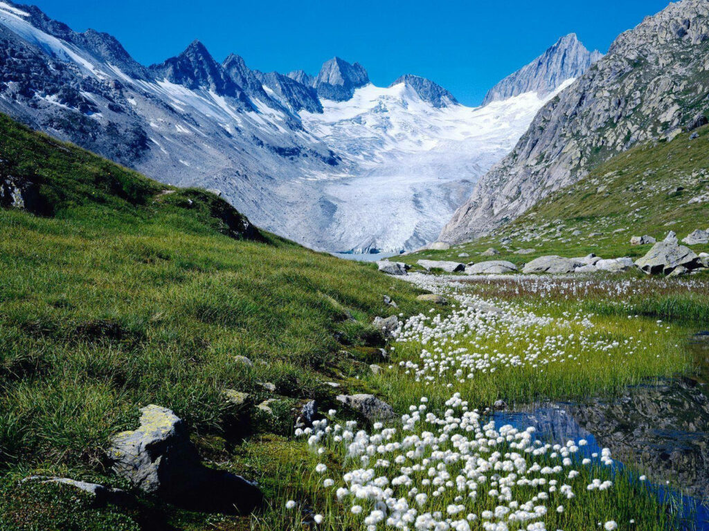 Nature's Bliss: Majestic Snow-capped Mountain Backdrop with Vibrant Spring Meadow Wallpaper