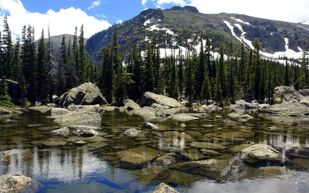 Serene Oasis: Crystal Clear Lake embraced by Lush Greenery and Majestic Mountain Background Wallpaper