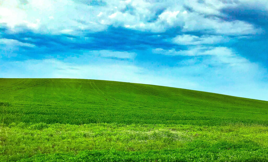 Windows XP and the Majestic Splendor of Spring: Captivating Nature in QHD Wallpaper