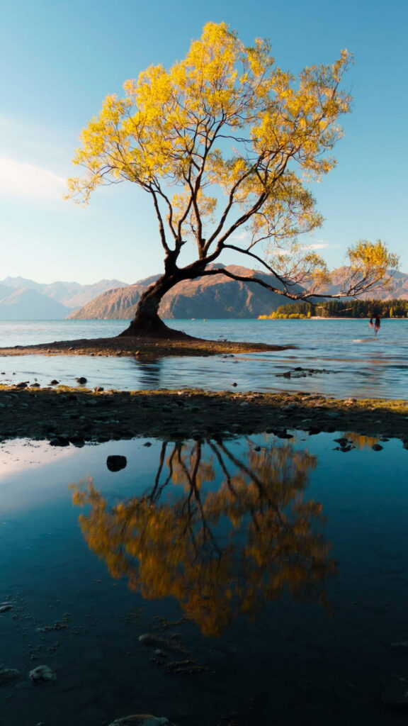 Immersed in Autumn Splendor: Nature's Reflection on HD Phone Wallpaper