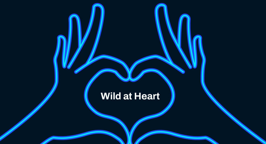 Neon Blue Heart Wallpaper: Hands Forming 'Wild at Heart' Design