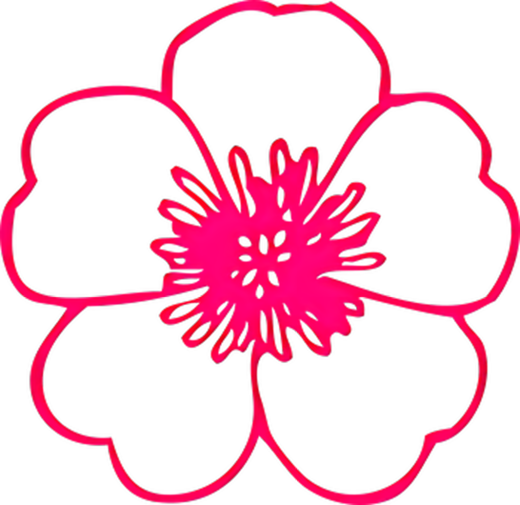 Neon Pink Flower Outline on Black Background - Modern Wallpaper Design