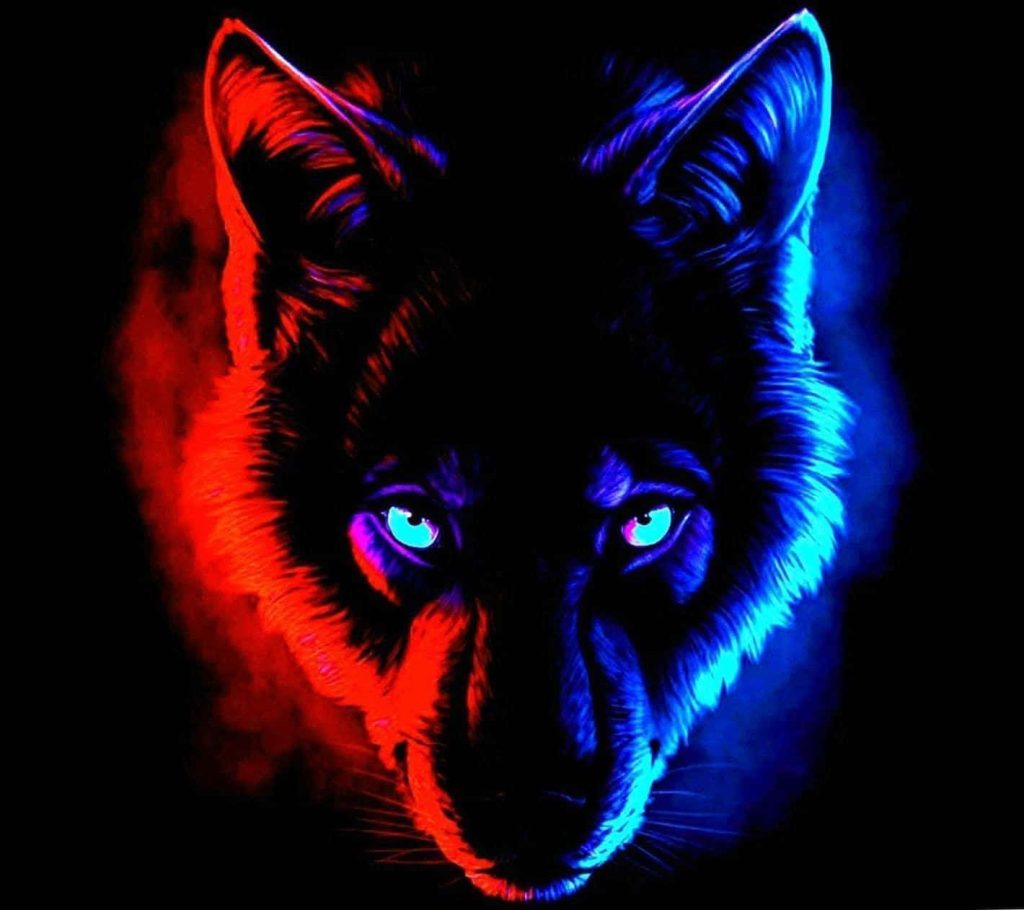 Wolf portrait with glowing eyes in red and blue neon light on black background wallpaper