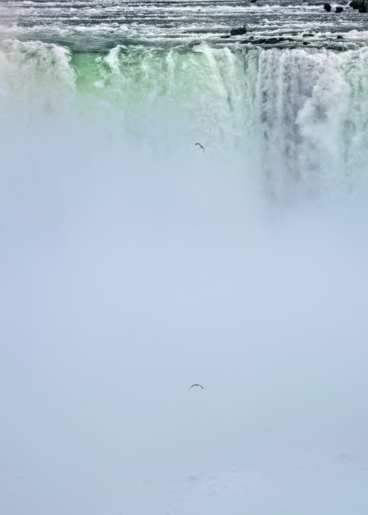 Niagara Falls powerful turquoise waterfall with mist and birds soaring in serene natural beauty Wallpaper