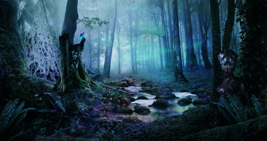 Enchanting Night Butterfly: Mysterious Encounters in the Shadows Wallpaper