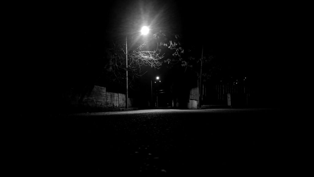 Silhouette Serenity: Street Light Shadows Amongst Trees Wallpaper