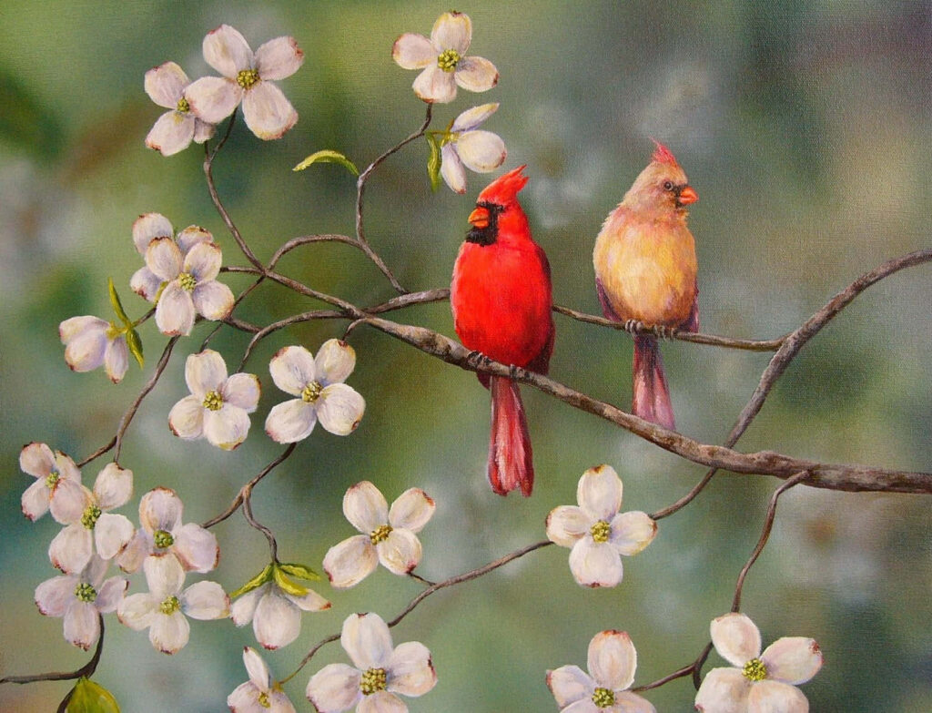 Northern Cardinal pair on flowering branches green background vibrant spring garden wallpaper