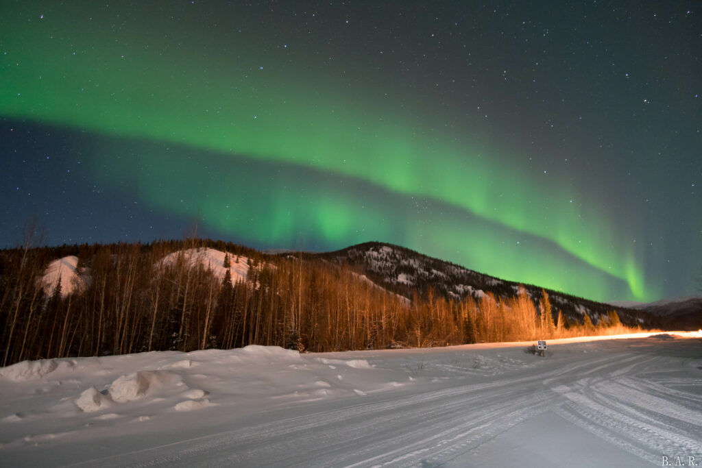Vibrant green northern lights over snow-covered forest with leafless trees under starry night sky Wallpaper