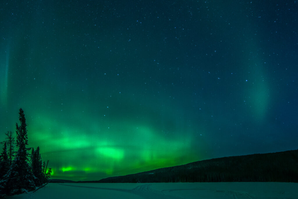 Northern lights green glow over snowy winter landscape with dark trees under starry night sky Wallpaper