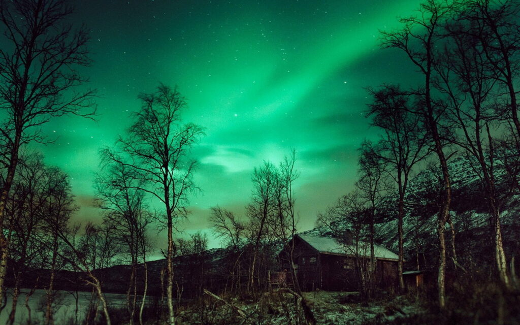 Northbound Aurora: Immersive Winter Night in HD Wallpaper