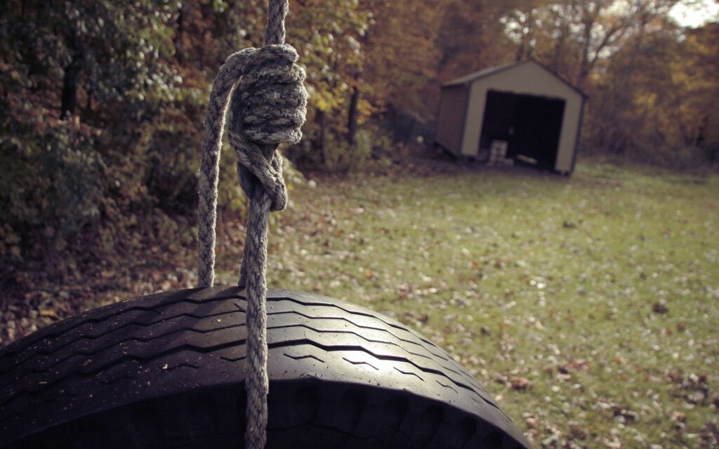 Tire swing on rope in sunlit grassy yard with rustic garage and autumn trees background wallpaper