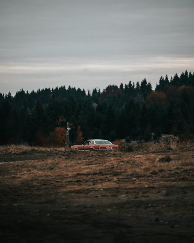 Nostalgic Wallpaper: Classic Car in Rustic Field & Serene Forest