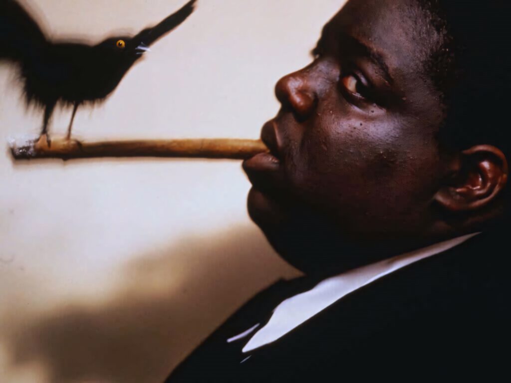 Biggie Smalls iconic pose with bird on cigar hip hop legend wallpaper background design