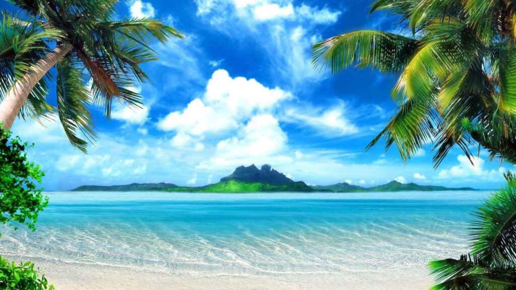 Stunning Ocean Beach Wallpaper: Lush Palms & Crystal-Clear Waters