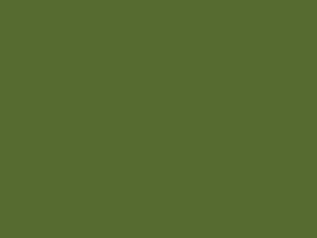 Solid Olive Green Wallpaper - Calming Desktop Background