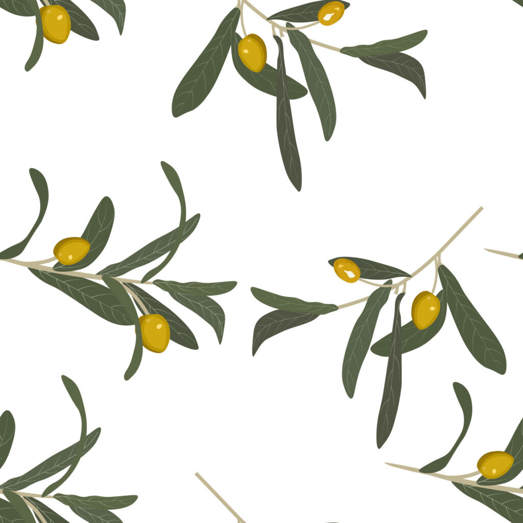 Seamless Olive Tree Branches Wallpaper with White Background