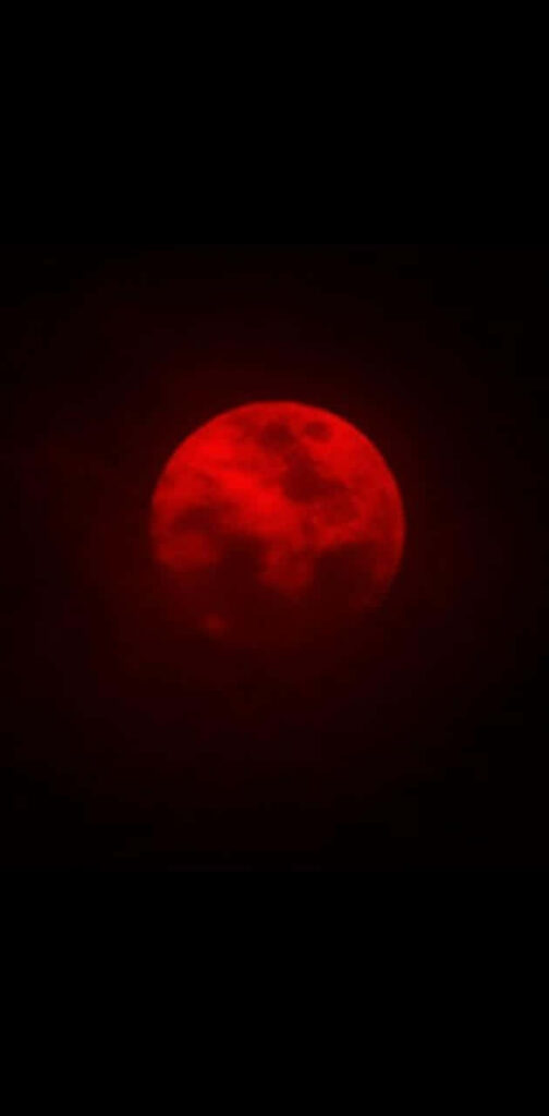Grim Gaze: A Bewitching Blood Moon Pierces the Night's Veil Wallpaper