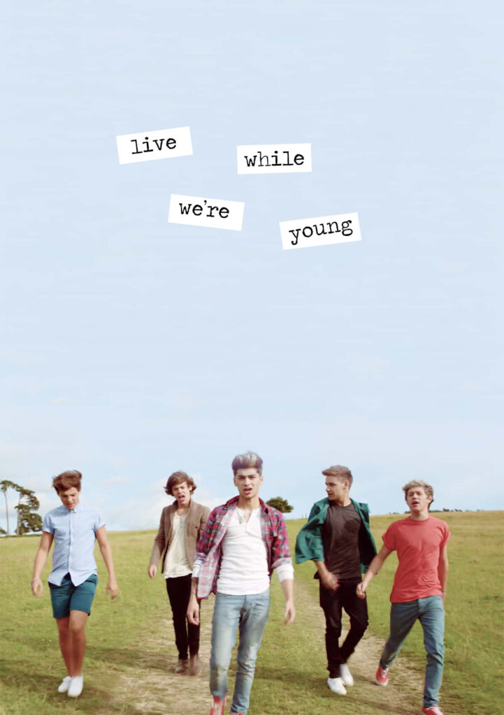 Vibrant 1D Wallpaper: Embracing Youthful Spirit in a Breathtaking Landscape