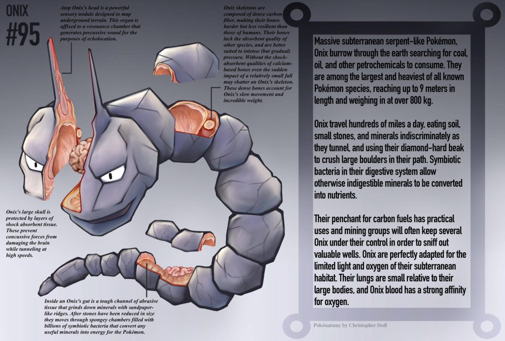 Detailed PokéNatomy poster of Onix cross-section showing skeletal and biological systems Wallpaper