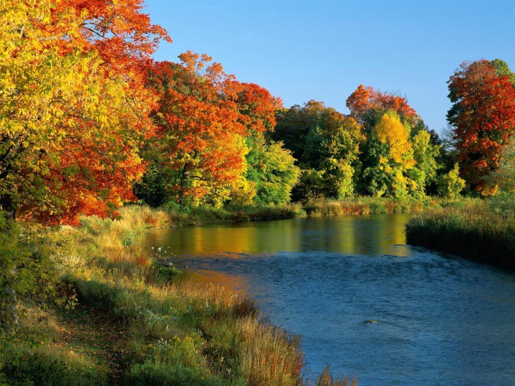 Autumn landscape in Ontario with colorful foliage along serene river under clear blue sky Wallpaper