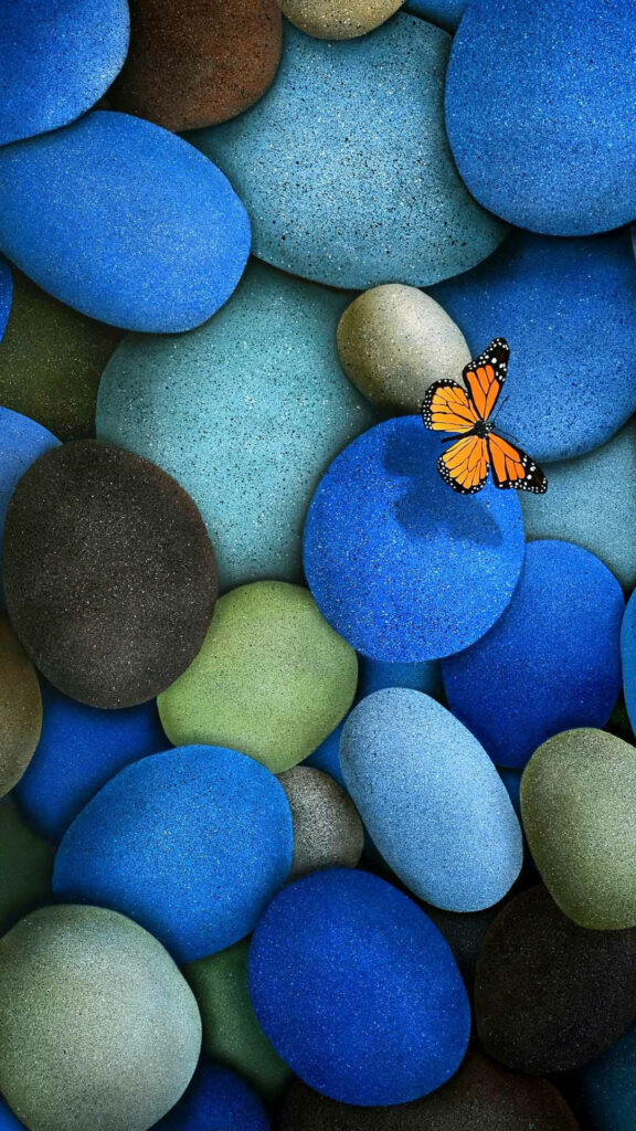 Graceful Orange Monarch Butterfly Resting on Cool Blue Stones: Captivating HD Vertical Image for Mobile Tablet Background Wallpaper