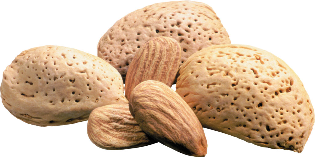 Natural Almond Shells & Nuts Close-Up Wallpaper: Earthy Textures