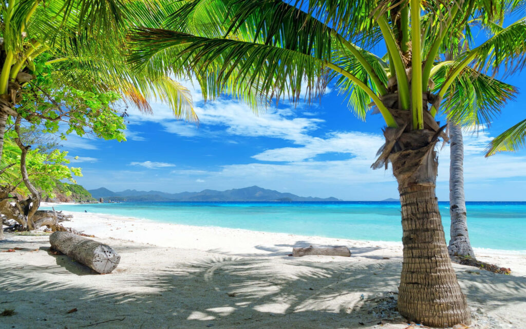Paradise Found: Serene Palm Beach Retreat Wallpaper