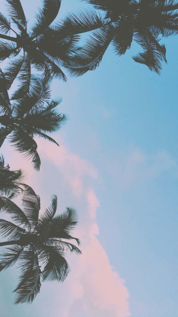 A Serene Tropical Paradise: Embracing the Tranquil Blue Skies Wallpaper