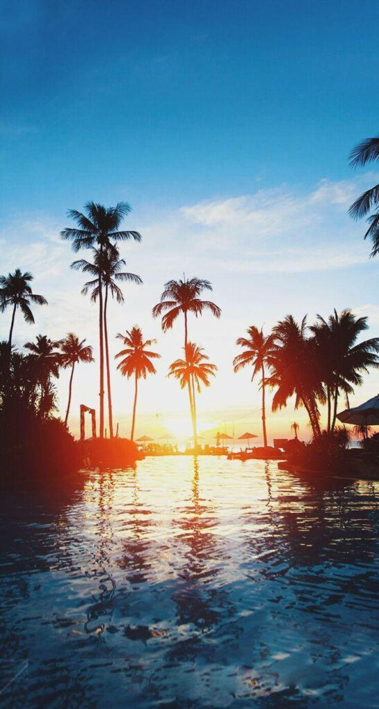 Tropical Paradise: Oceanside Sunset and Palm Trees Embrace This Stunning Summer iPhone Wallpaper