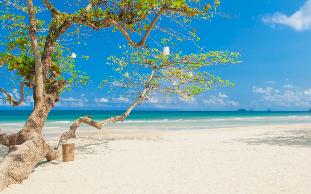 Paradise Found: The Serene Shores of a Dreamy Tropical Island Wallpaper