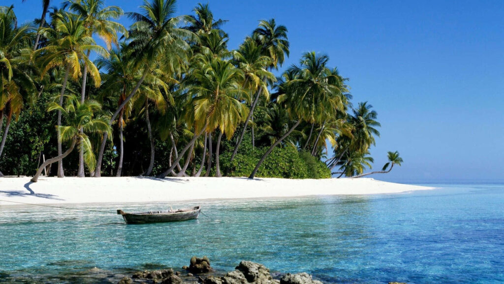 Paradise Found: A Serene Tropical Getaway Wallpaper