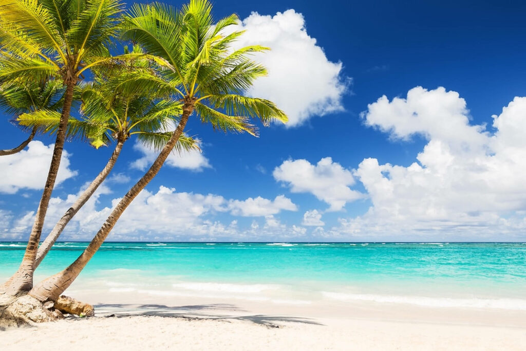 Paradise Found: A Captivating Beachscape Enveloped in Palm Trees and Carefree Clouds - Setting the Stage for Your Dreamy Summer Getaway! Wallpaper