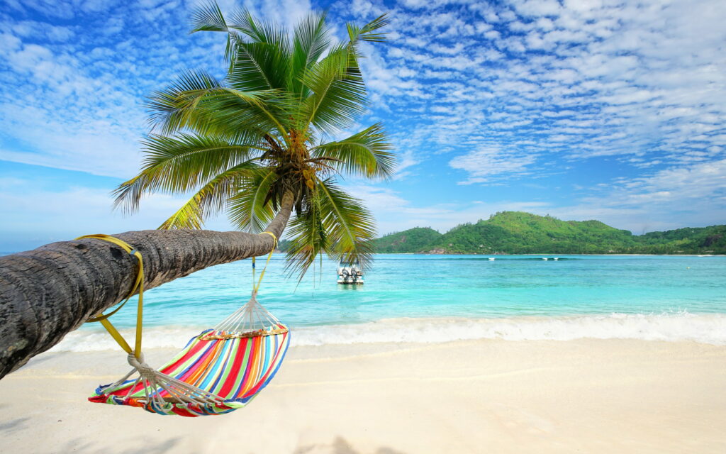 Paradise Escape: Serene Blue Lagoon and Palm Tree Hammock on Tropical Island Wallpaper