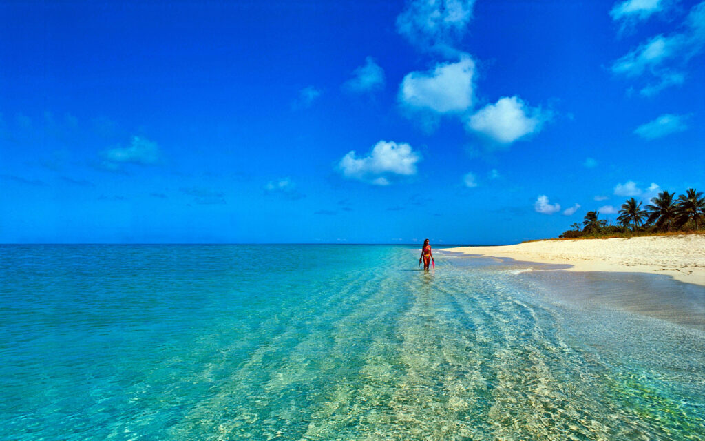 Breathtaking Oceanic Beauty: Exquisite Bikini-Clad Woman Gracefully Embracing the Majestic Mauritius Coastline Wallpaper