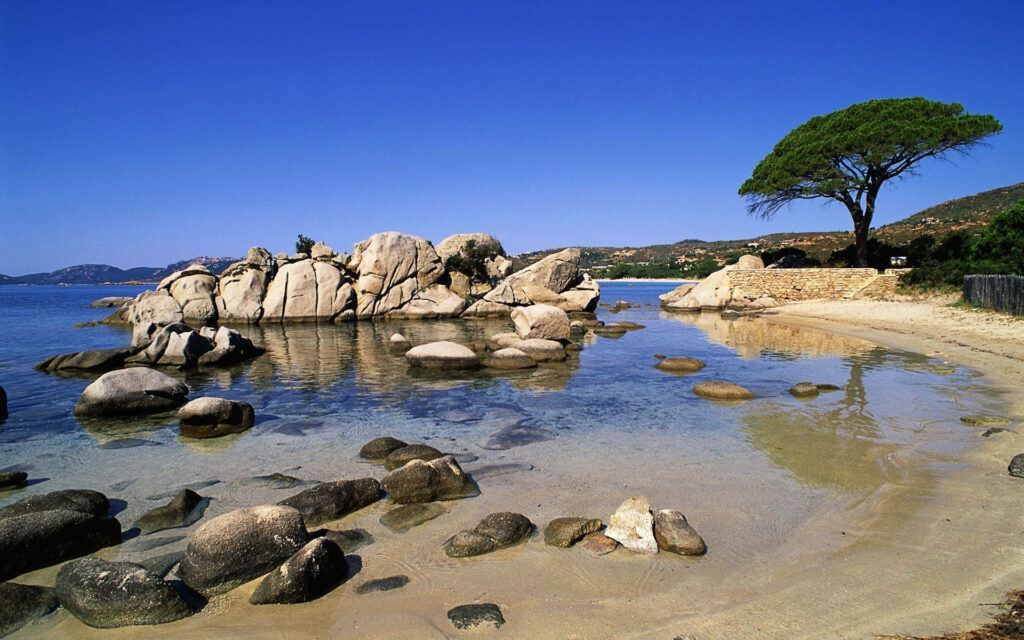 Captivating Palombaggia Beach: A Majestic 1920x 1080 Full HD Nature Background Wallpaper