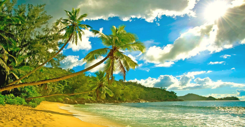 Euphoric Tropical Paradise Snapshot - Seychelles' Breathtaking Summer Scene Wallpaper