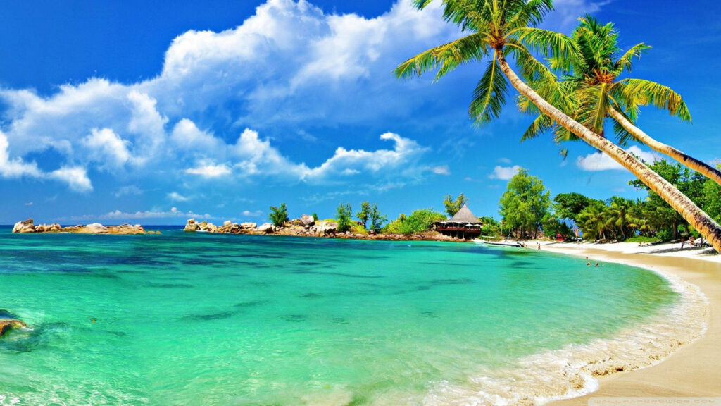 Paradise Found: Captivating Tropical Escape with Emerald Waters, Towering Palms, and Picture-Perfect Skies Wallpaper