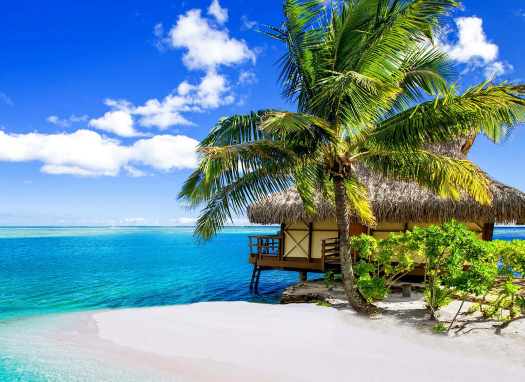 Paradise Found: Basking in Tropical Beach Scenes - 1600 X 1166 Decorative Background Photo Wallpaper