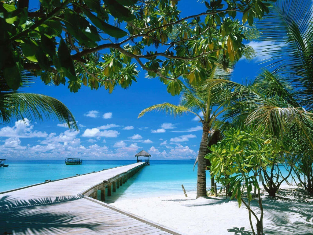 Paradise Found: A Vibrant Tropical Island Retreat Wallpaper