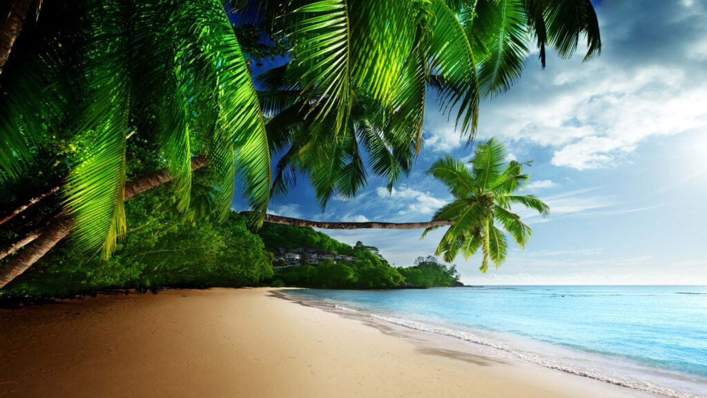 Paradise Found: A Breathtaking Tropical Island Escape Wallpaper